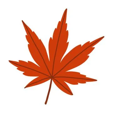Red Japanese maple leaf vector isolated on white. Minimalist flat fall foliage イラスト素材