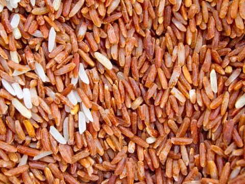 Red jasmine rice Stock Photos