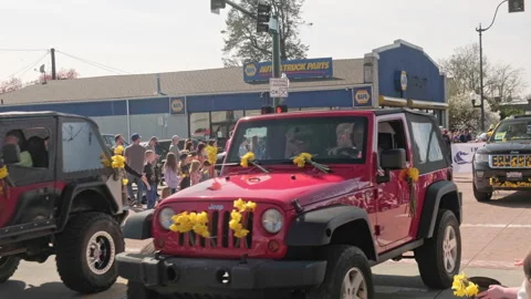 Red Jeep Rubicon decorated with yellow daffodils driving down the  sammer egg 53 Stock Footage 339988913