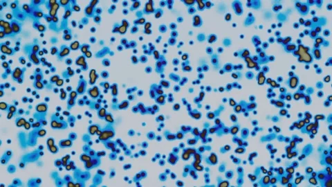 Red Jelly Shape Particles Animation Loop  Stock Footage 224543213