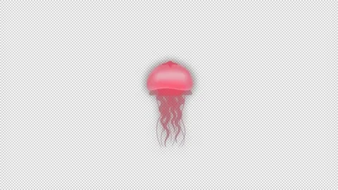 Red jellyfish. Animation on a empty background. Video stock 150564389