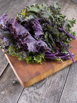 Red kale Stock Photos