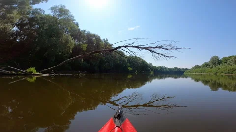 Red kayak went down a river and passes under tree. River travel Видео 166381166