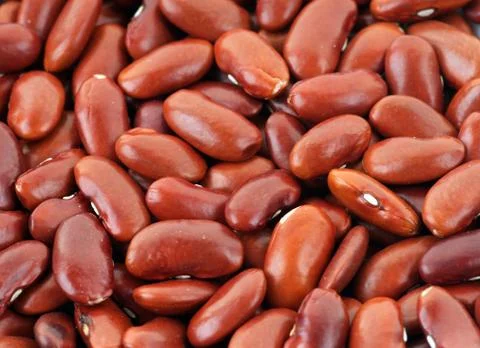 Red kidney bean background Stock Photos