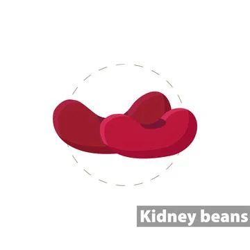 Red kidney bean flat icon. isolated illustration. Stock Illustration