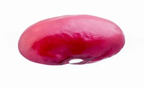 Red kidney bean. Stock Photos