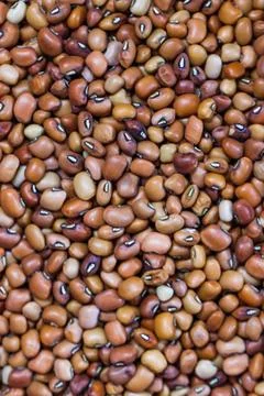 Red Kidney Bean Texture Background, Raw Dried Brown Beans Seeds Pattern, To.. Stock Photos