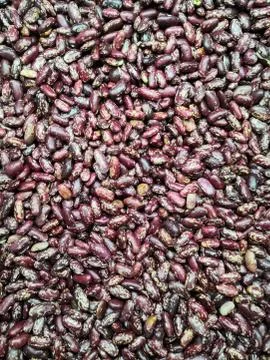 Red kidney beans, also called red pinto speckled beans Stock Photos