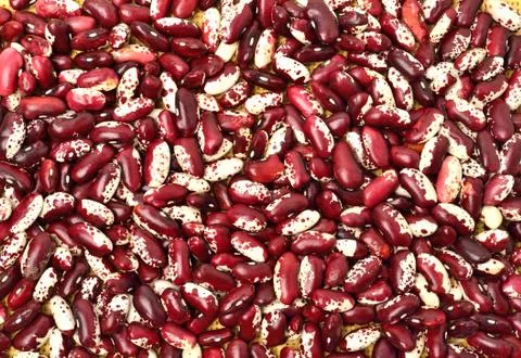 Red kidney beans background Stock Photos
