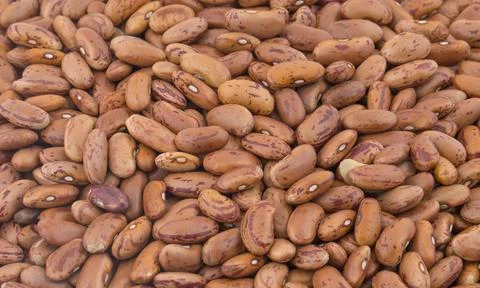Red Kidney Beans Background Stock Photos