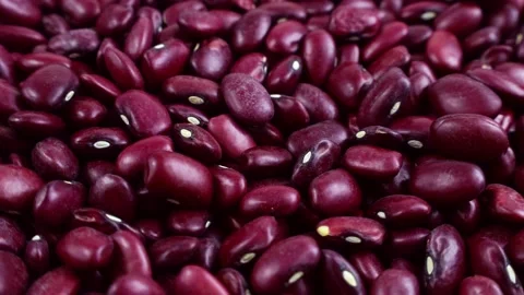 Red kidney beans falling down with circle rotation close up Stock Footage 233998328