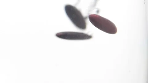 Red kidney beans falling into water in slow motion Stock Footage 126333422