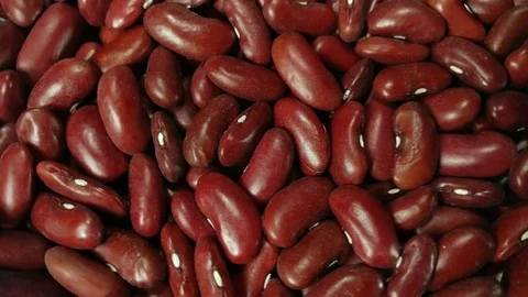 Red Kidney beans Stock Footage