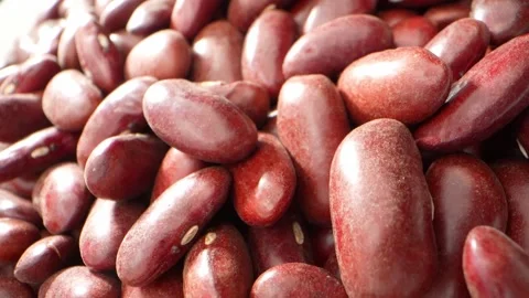 Red kidney beans offer several health benefits Stock Footage 246666677