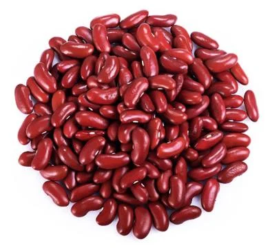 Red kidney beans Stock Photos