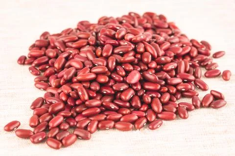 Red kidney beans Stock Photos