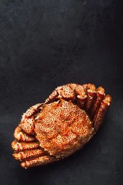 Red king crab on black background. King crab, top view Stock Photos