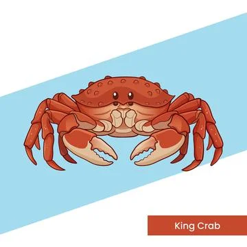 Red King Crab Vector Illustration - Seafood Ocean Creature Design for Resta.. Stock Illustration