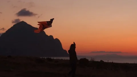 Red kite and red sky Stockbeeldmateriaal 97837880