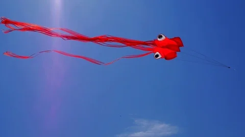 Red kite develops against the blue sky Stock Footage 98261689