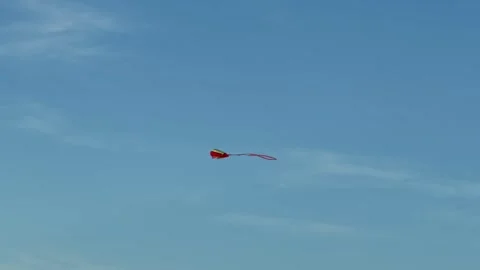 Red kite flying and soaring in a clear blue sky Stock Footage 342802028