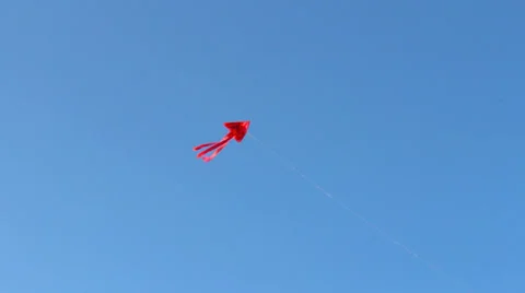 Red kite flying in the blue sky Stock Footage