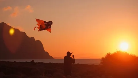 The red kite Stockbeeldmateriaal 97795509