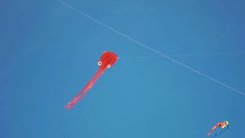 Red kite in form of octopus in flight against blue sky and sunny day Video stock 76265028