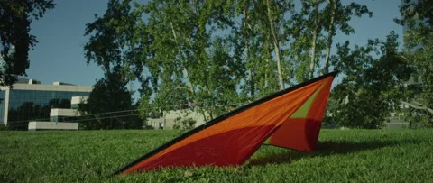 Red kite in park taking off and flying - SEQUENCE Stock Footage 135471789