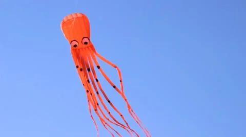 Red Kite in Sky Stock Footage 51346238