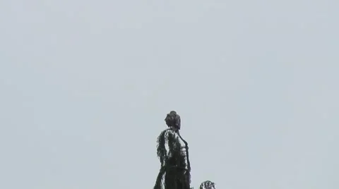 Red Kite on tree and fly away 03 Stock-Footage 53426848