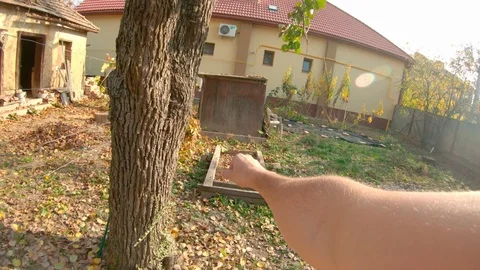 Red kitten boldly walks on a high tree branch in the yard of a private house. Stock Footage 119809085