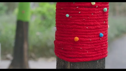 Red Knitted Tree Cover with Pom Poms for Mindfulness Background Use Stock Footage 328296392