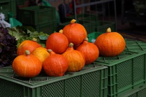 Red kuri squash Stock Photos