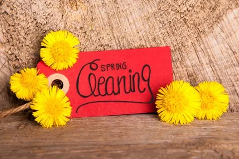 Red Label, Dandelion, Calligraphy Spring Cleaning, Wooden Background Stock Photos