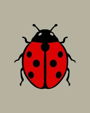 Red ladybug with black spots and antennae. 库存插图