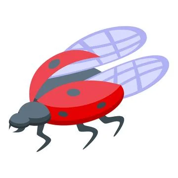 Red ladybug flying with open wings isometric view Stock Illustration