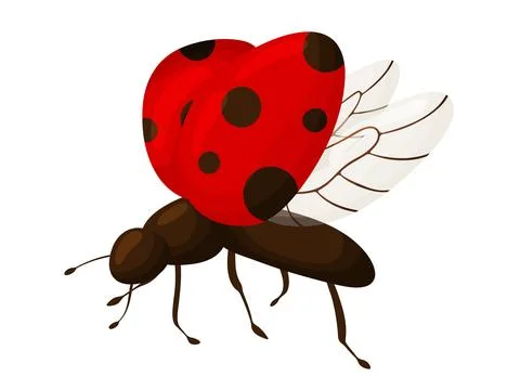 Red Ladybug Flying with Open Wings Illustration 库存插图