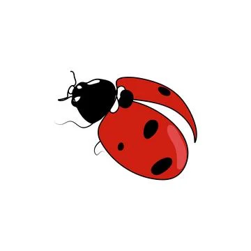 Red ladybug. Line art vector illustration. Stock Illustration