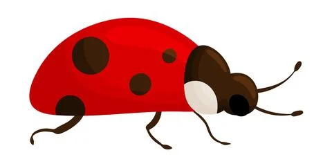 Red Ladybug Side View Crawling Illustration Clipart イラスト素材