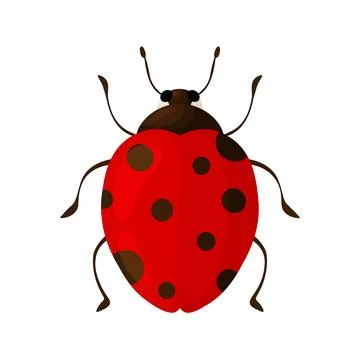 Red Ladybug Top View Illustration Clipart イラスト素材