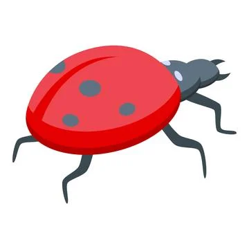Red ladybug walking with black spots isometric view Stock Illustration