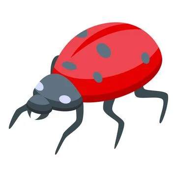 Red ladybug walking on six legs with black spots Stock Illustration
