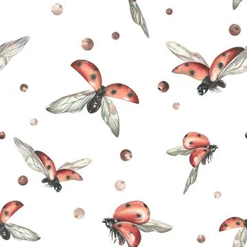 Red ladybugs with black dots flying with berries. watercolor illustration, hand Stock Illustration