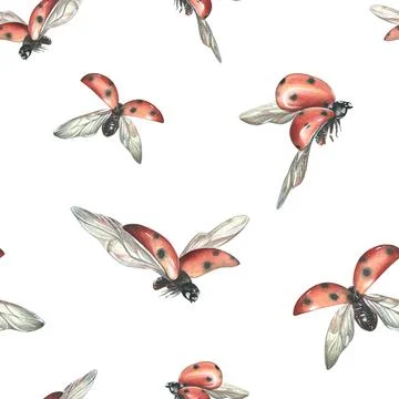 Red ladybugs with black dots flying. Hand drawn watercolor illustration. Simple Stock Illustration