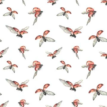 Red ladybugs with black dots flying. Hand drawn watercolor illustration. Simple Stock Illustration