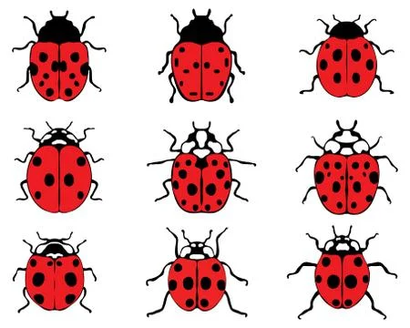 Red ladybugs  Stock Illustration