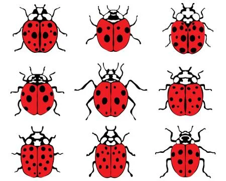 Red ladybugs Stock Illustration