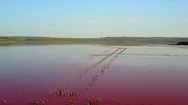 Red Lake Chokrak In The Crimea. 4K Aerial View Stock Footage