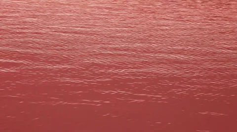 Red lake Stock Footage 2776898